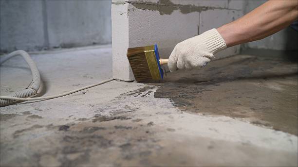 SJ Waterproofing Pros Waterproofing coverage map for Edmore, MI and surrounding area